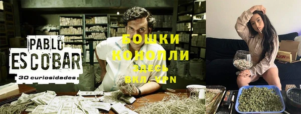 молекула духа Балабаново