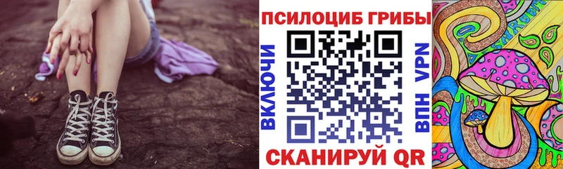 где купить наркоту  Данков  kraken сайт  Галлюциногенные грибы ЛСД 